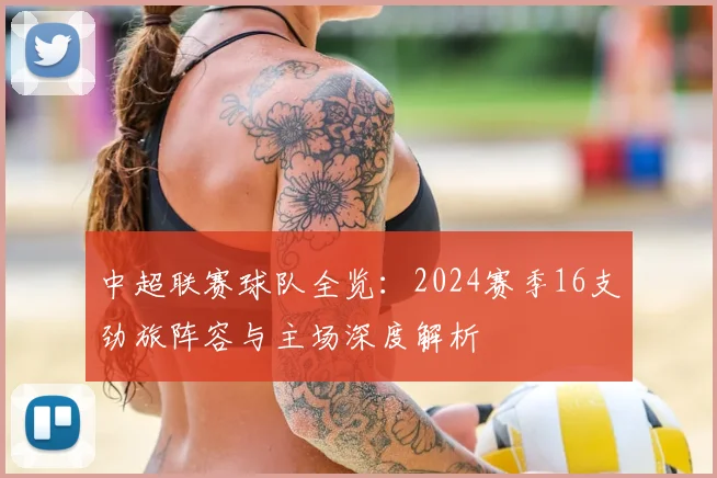 中超联赛球队全览：2024赛季16支劲旅阵容与主场深度解析